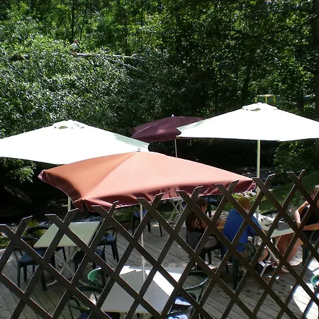 Hotell Le Renard 2*